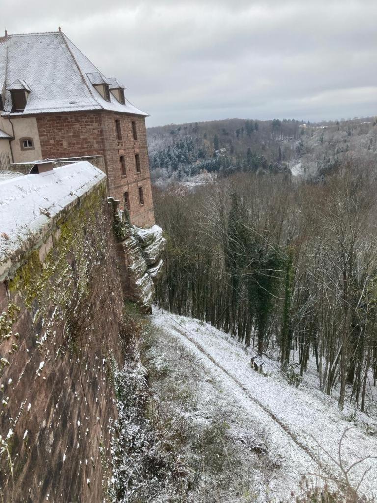 Le Cordonnier Du Staedel *