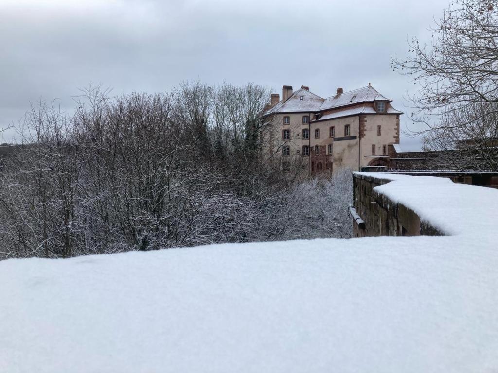 Le Cordonnier Du Staedel Holiday home